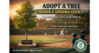 Sonoma Little League announces ‘Adopt a Tree’ to support upkeep of playing fields